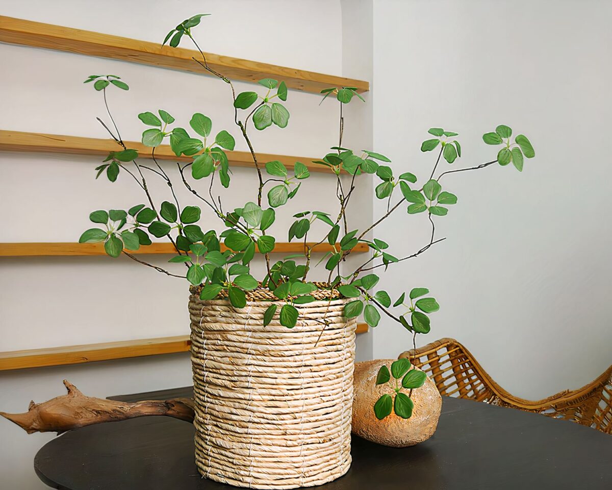 Branche d'eucalyptus artificiel dans un pot.