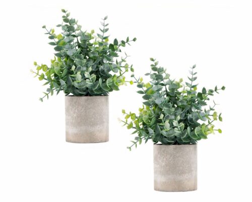 Lot de deux plantes artificielles sur un fond blanc.