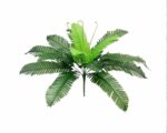 Plante artificielle type fougère